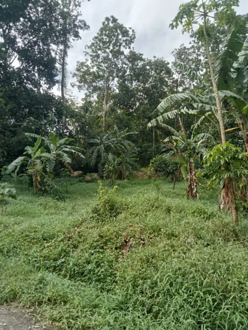 Residential Land for Sale in Talagala Homagama
