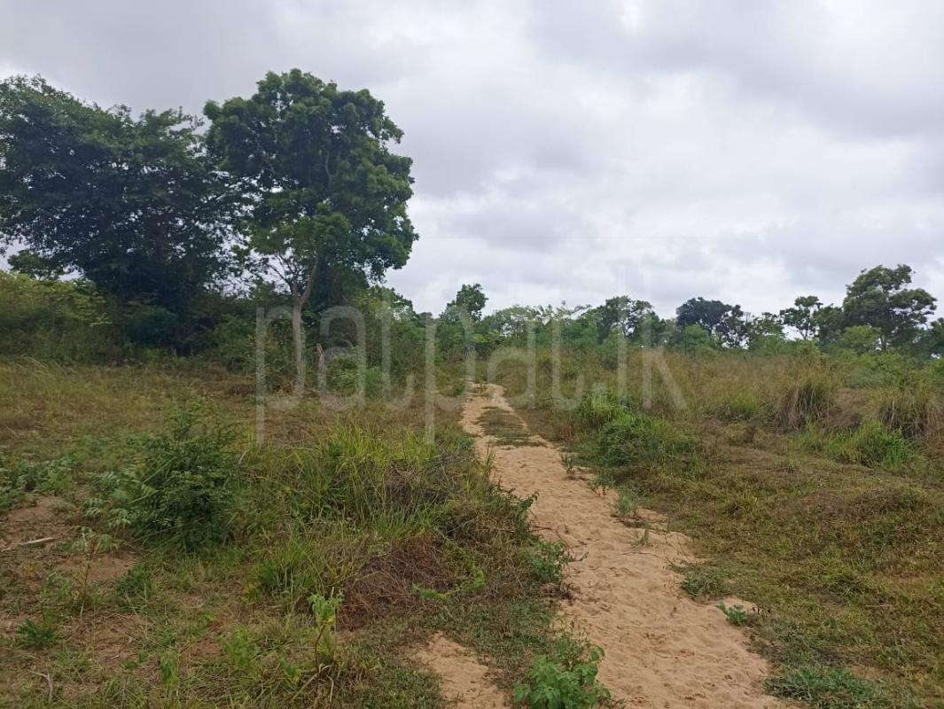 Commercial Land for Sale in Puttalam ads-image-1