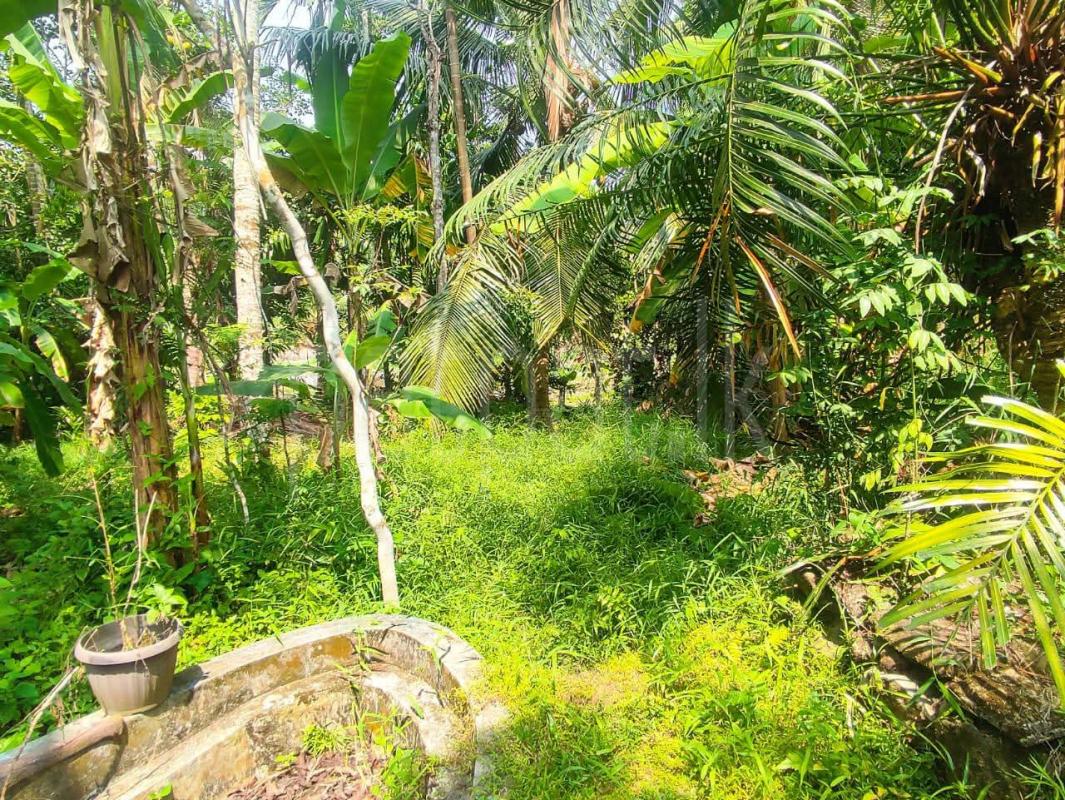 Commercial Land for Sale in Athurugiriya