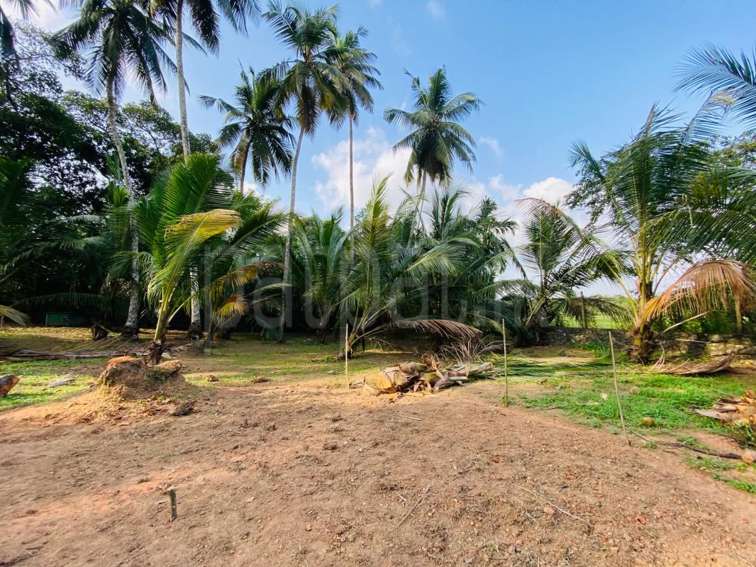 Residential Land for Sale in Weligama