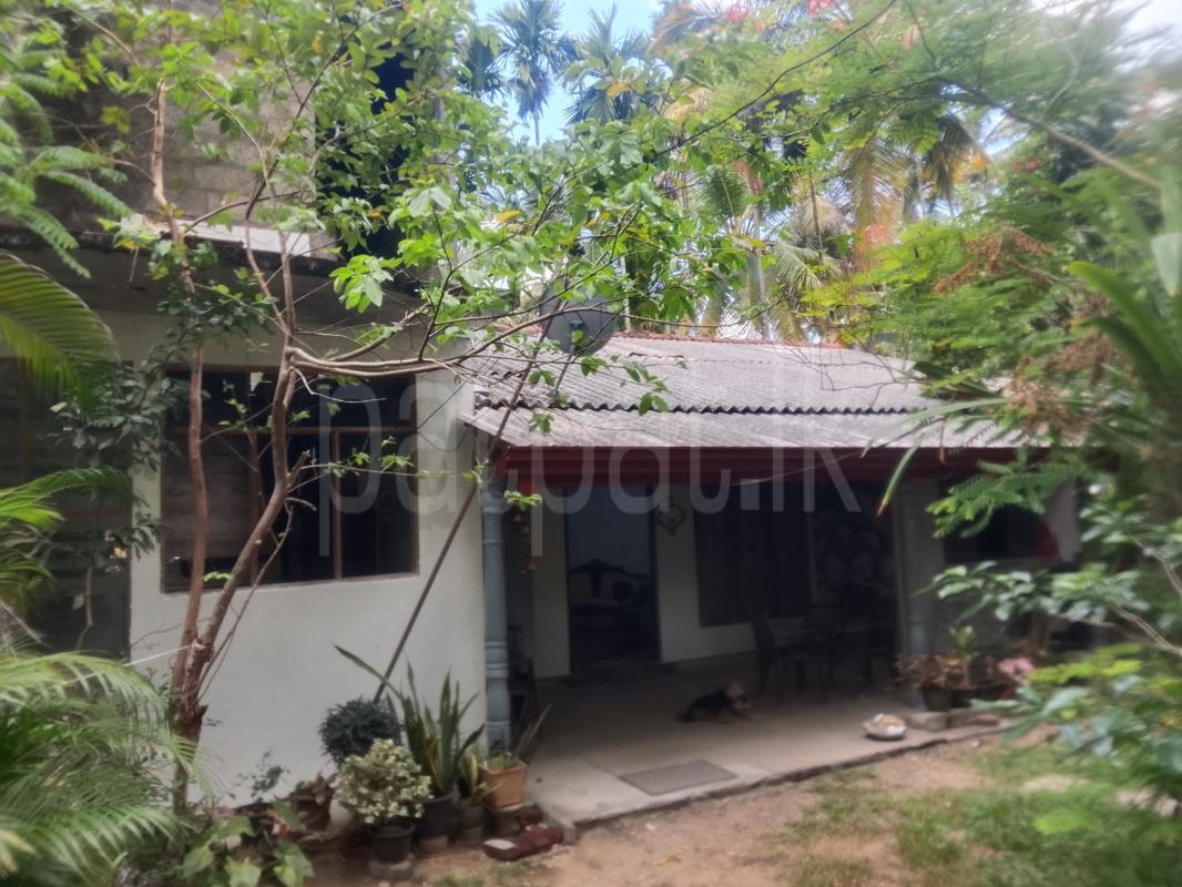 House for Sale in Radawana