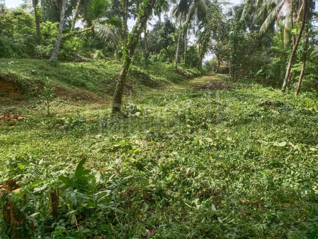 Commercial Land for Sale in Kalutara ads-image-1