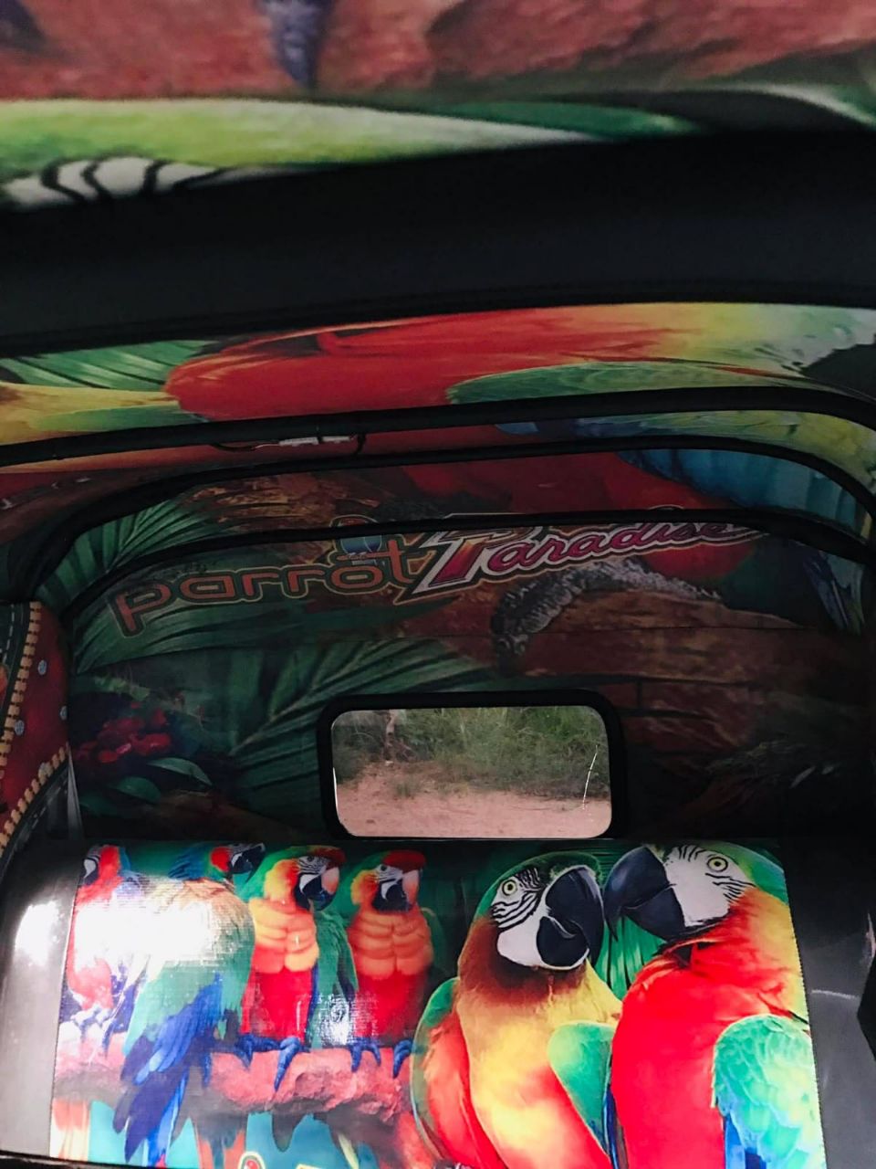 Advertisement image 5