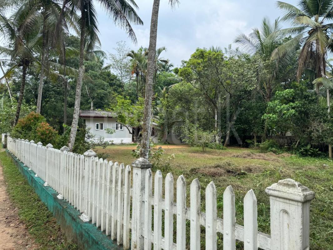 premium-listing-image