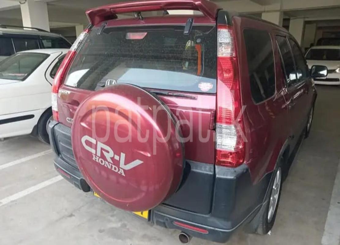 Advertisement image 3