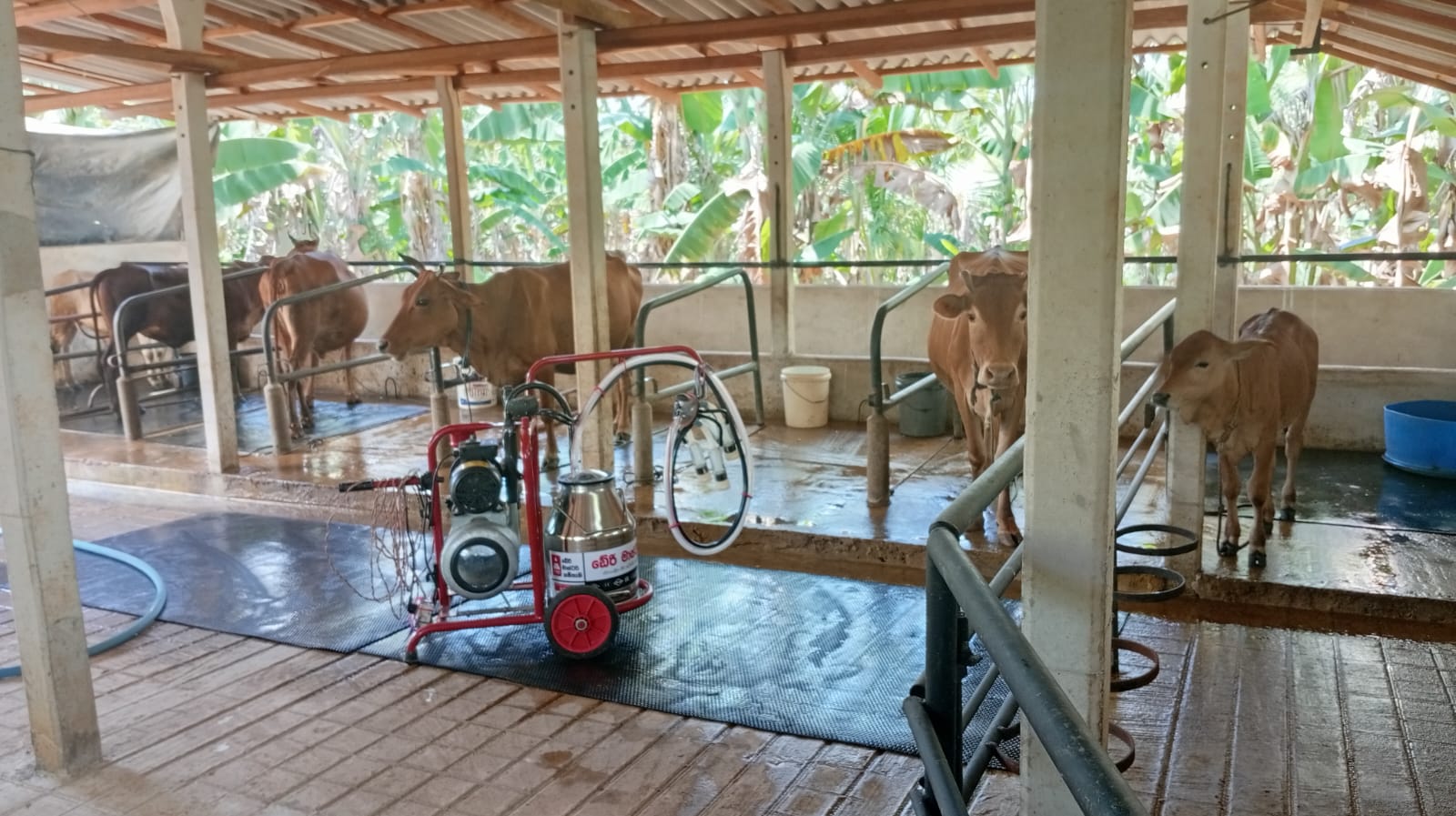 House for Sale in Embilipitiya