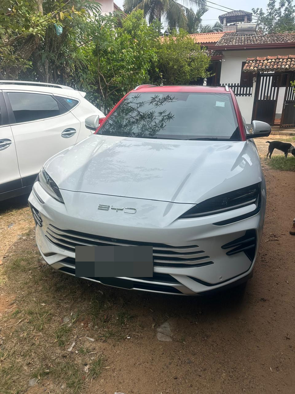 BYD Sealion 6 2025 ads-image-1