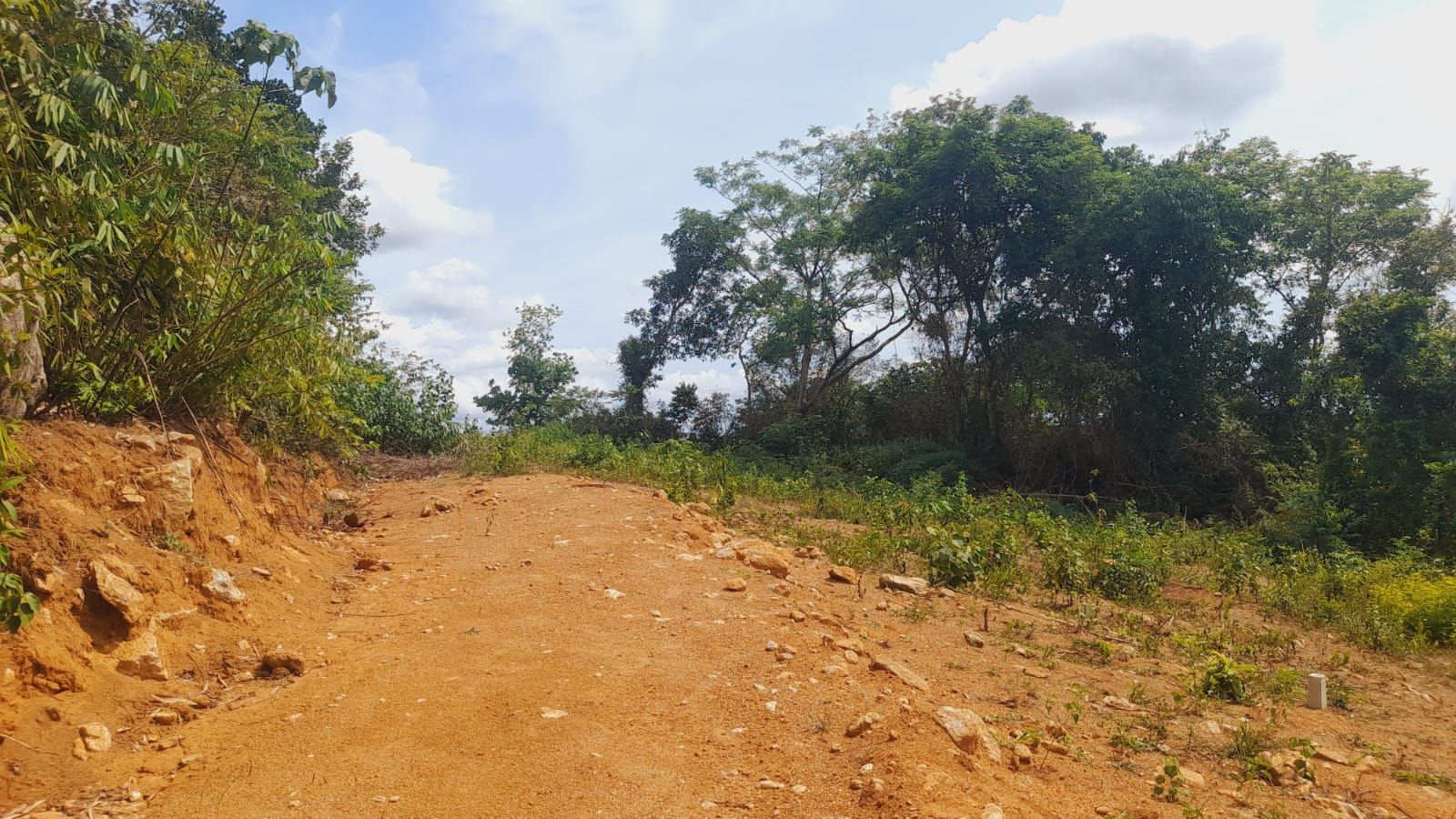 Agricultural Land for Sale in Dompe