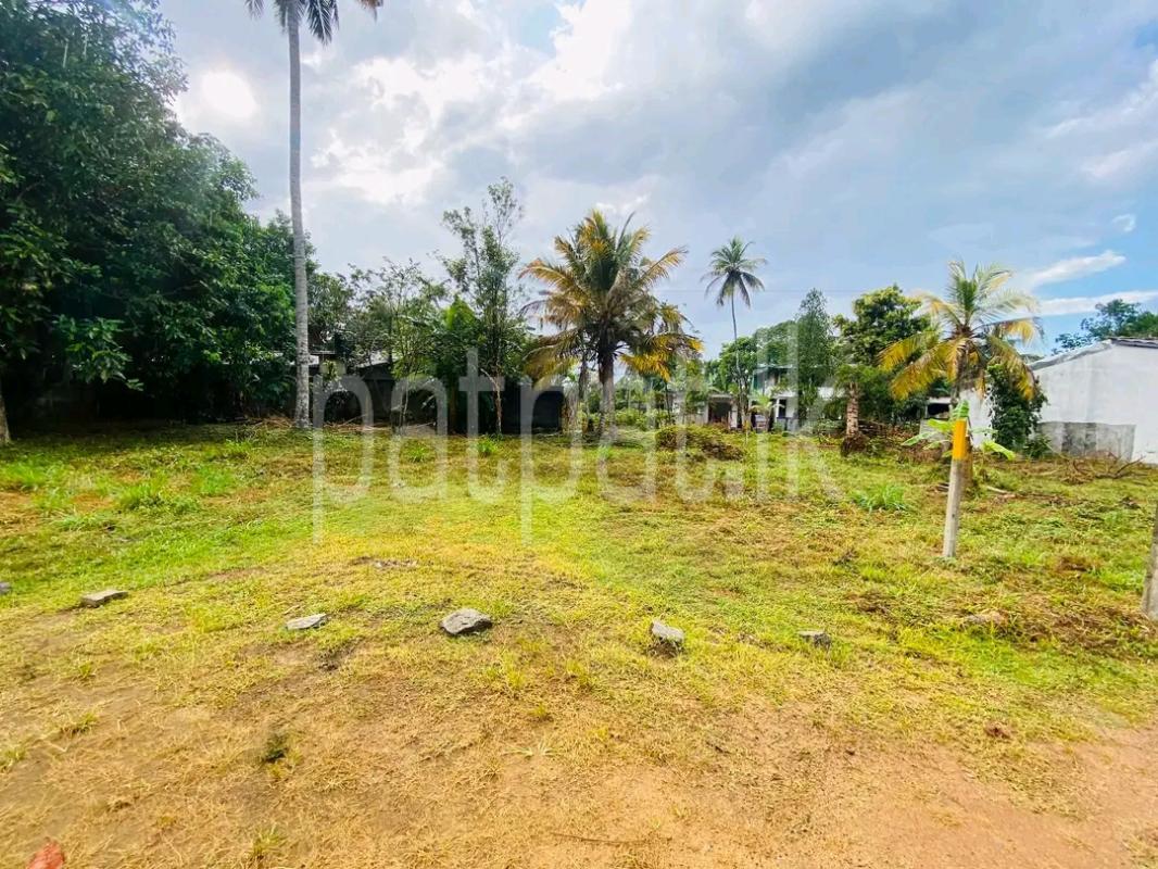 Agricultural Land for Sale in Avissawella ads-image-1