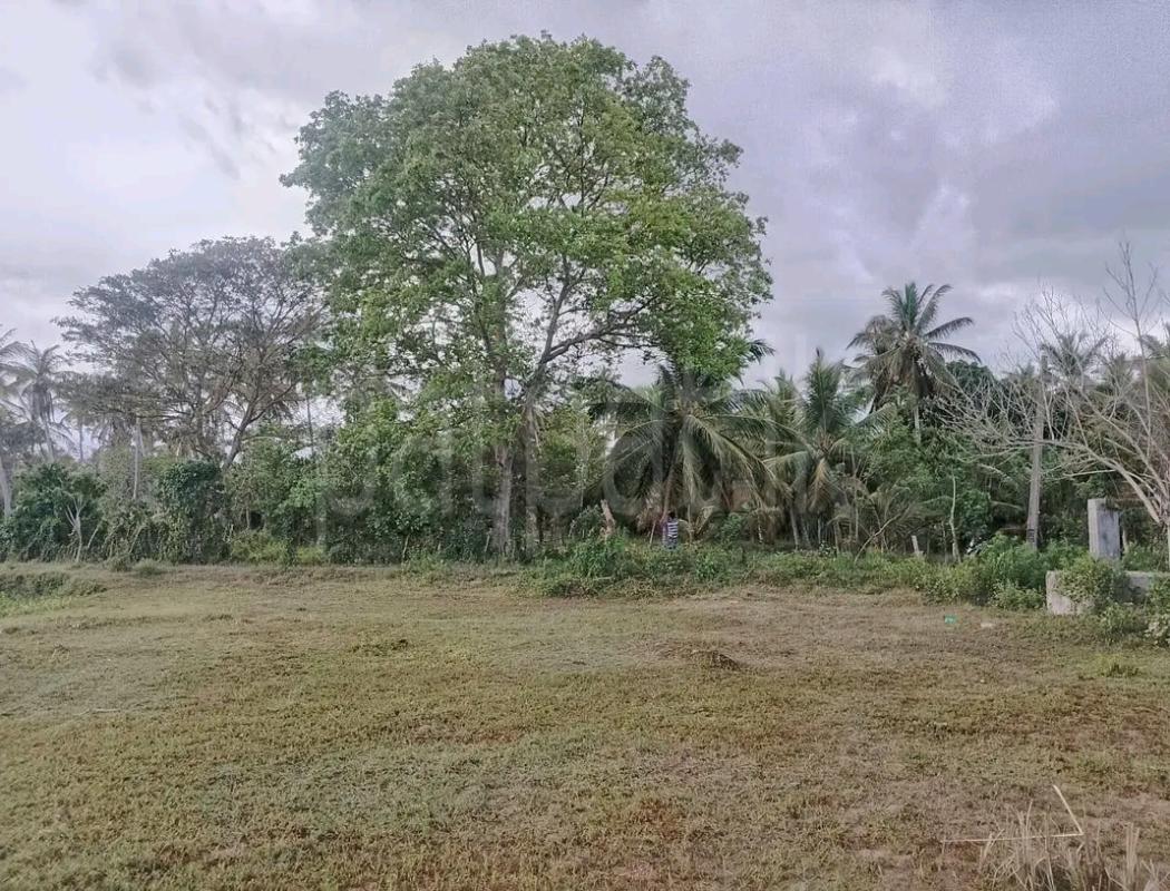 Residential Land for Sale in Chilaw