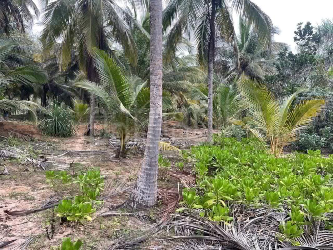 Commercial Land for Sale in Tangalla