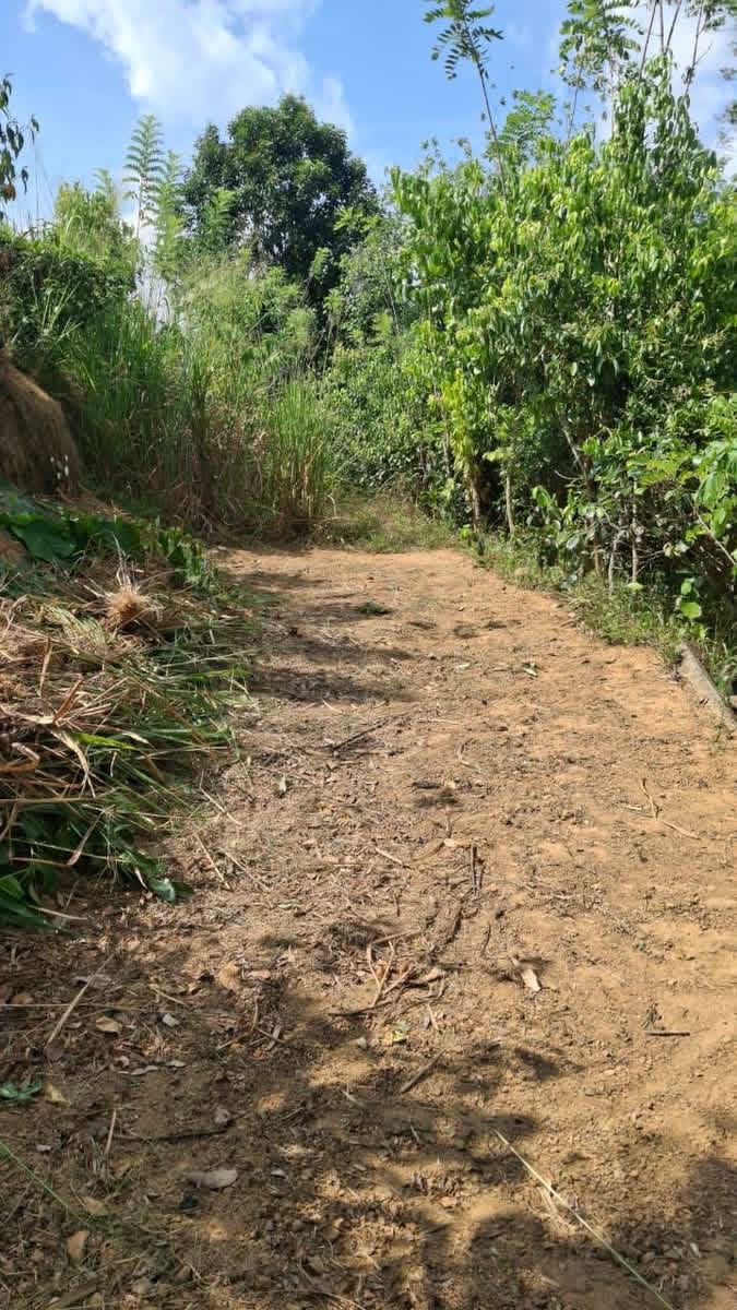 Agricultural Land for Sale in Galle ads-image-1