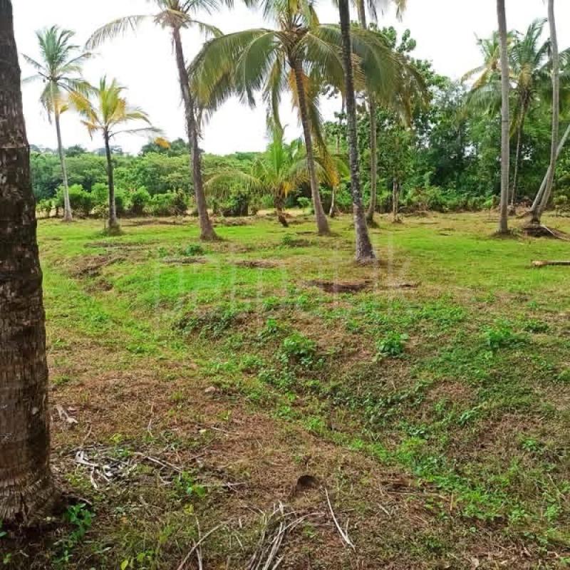 Agricultural Land for Sale in Mawathagama