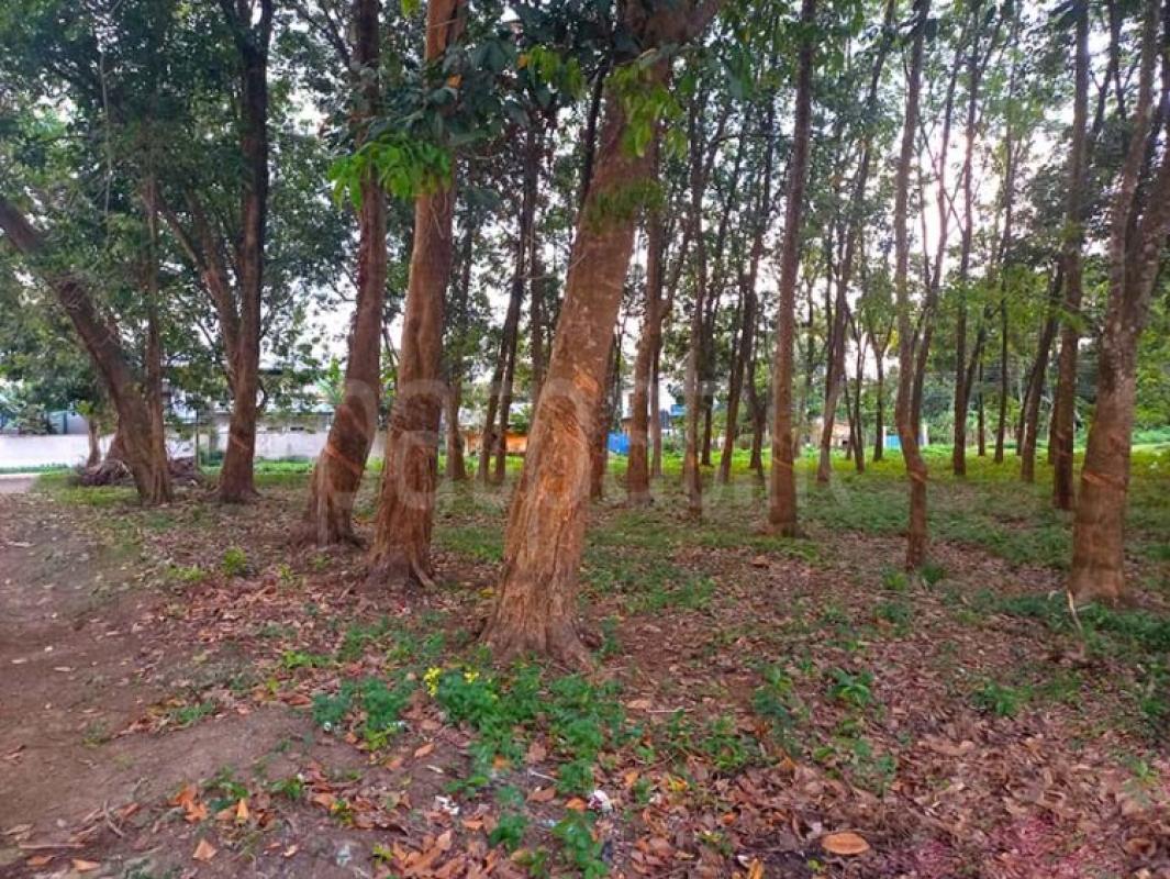 Agricultural Land for Sale in Biyagama