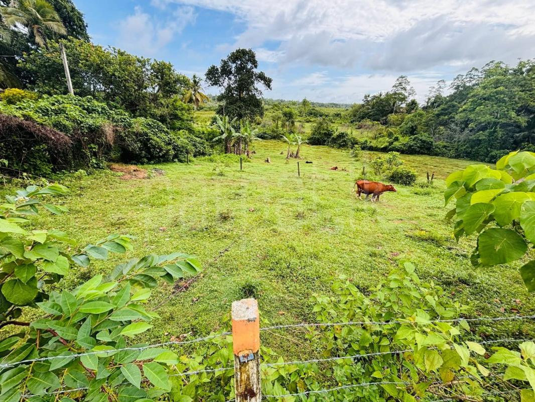 Commercial Land for Sale in Morontuduwa