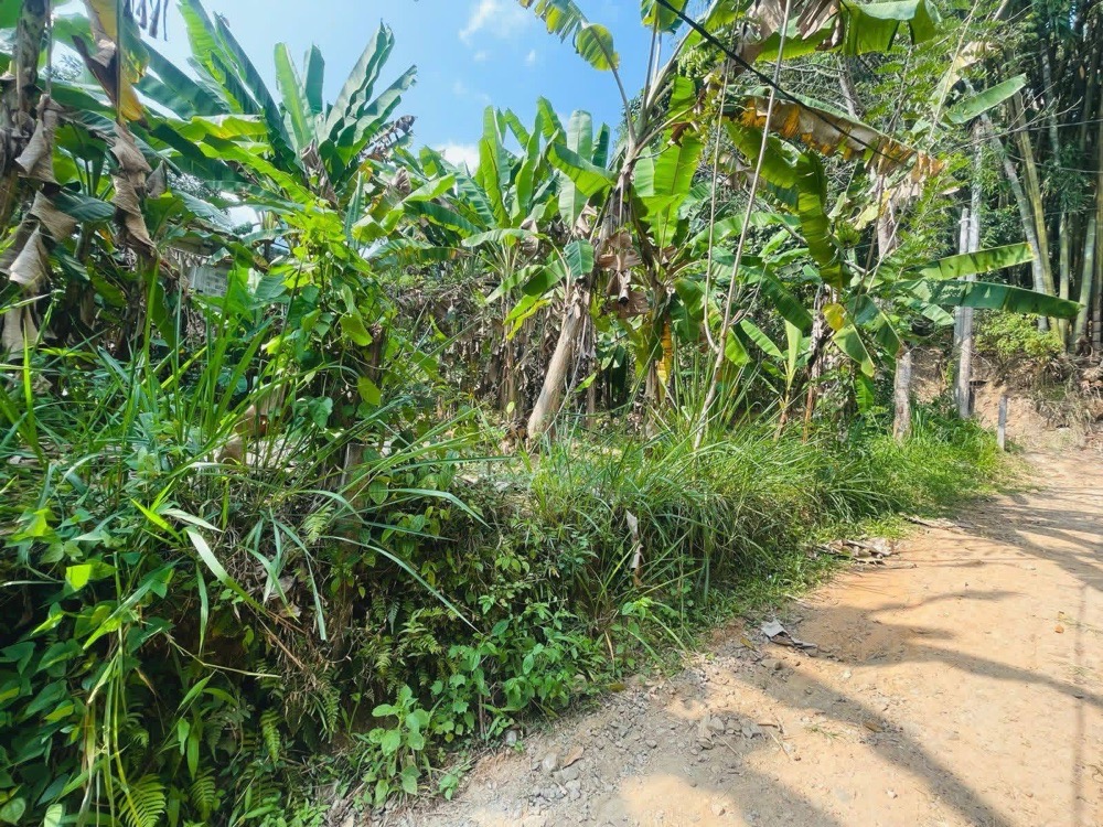 Residential Land for Sale in Gampola ads-image-1
