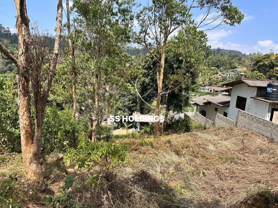 Agricultural Land for Sale in Bandarawela