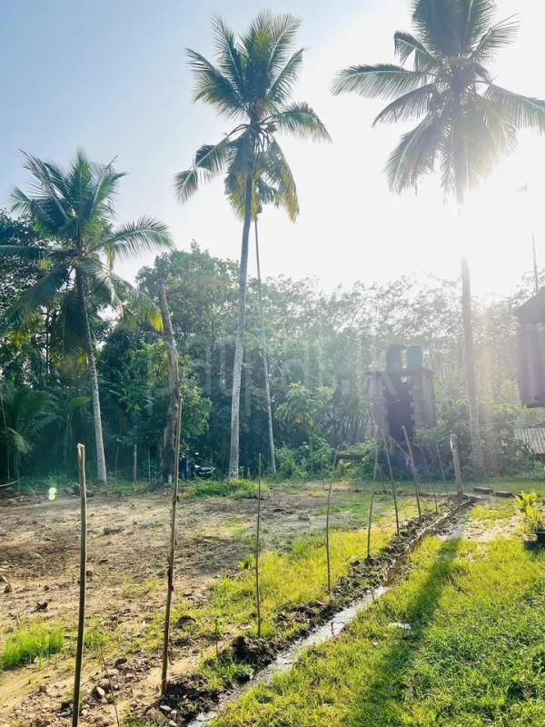 Residential Land for Sale in Kiriwattuduwa