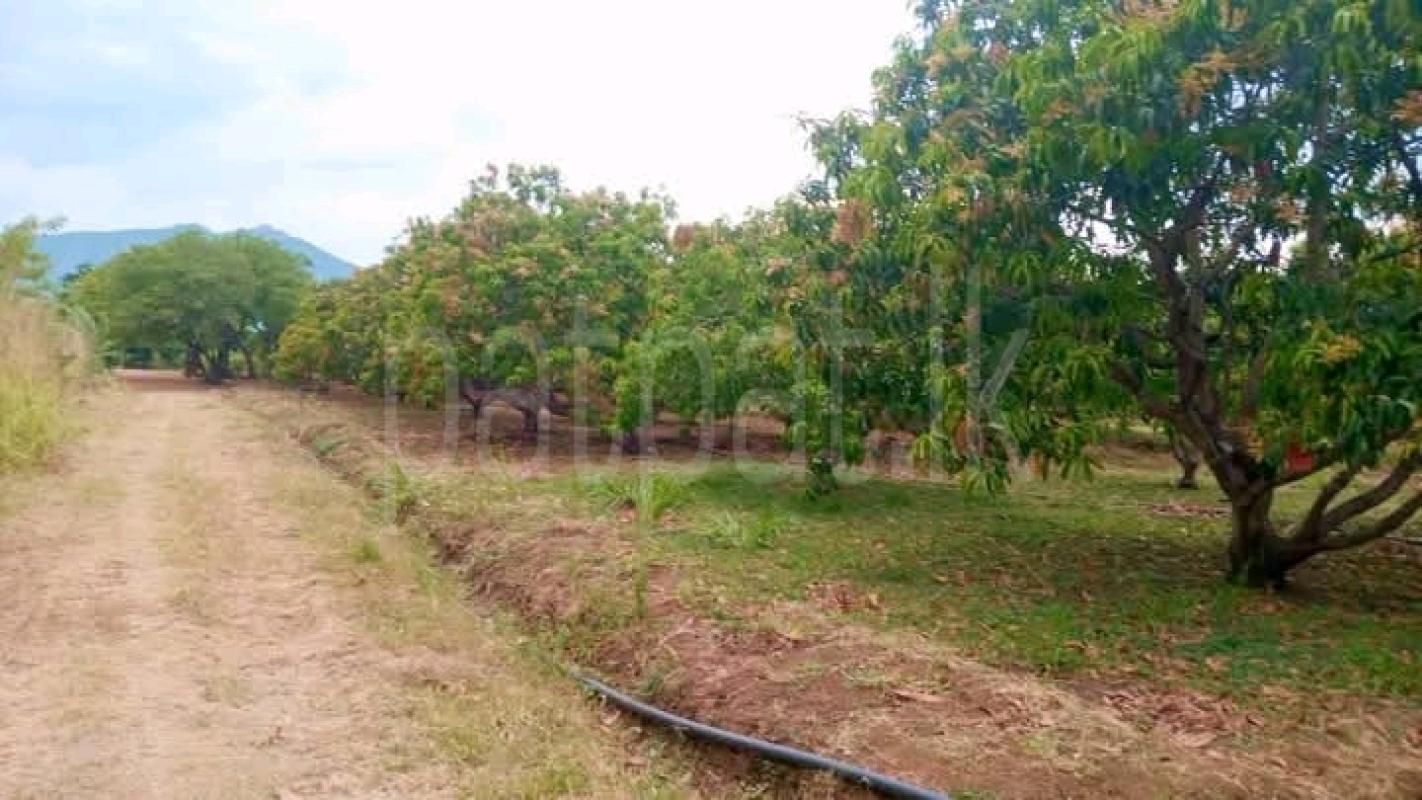 Commercial Land for Sale in Dambulla