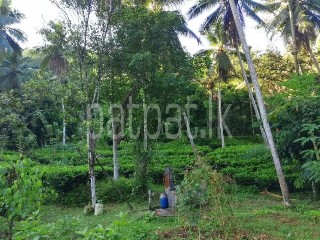 Advertisement image 6