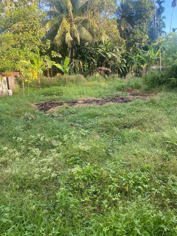 Residential Land for Sale in Panadura
