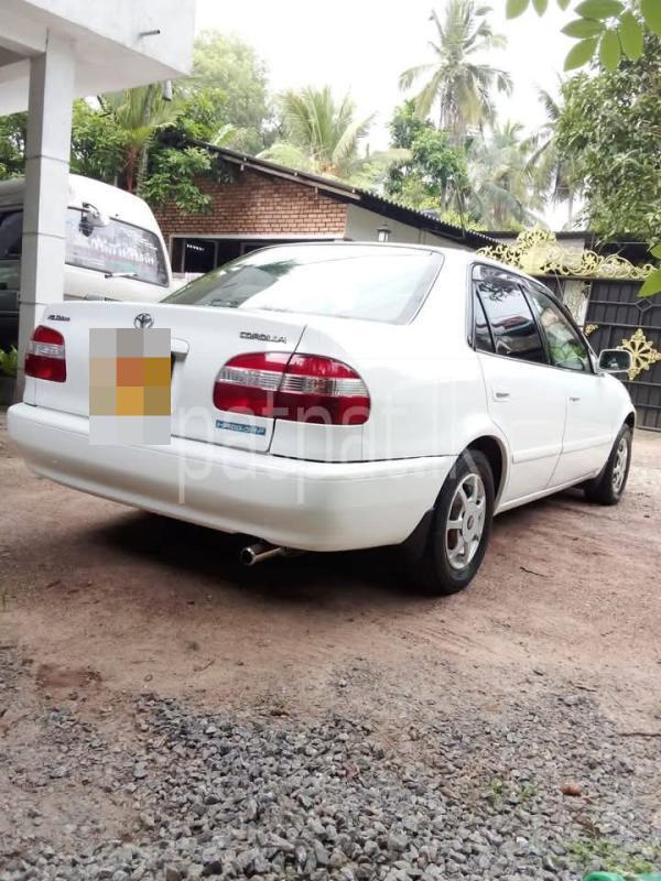 Advertisement image 2