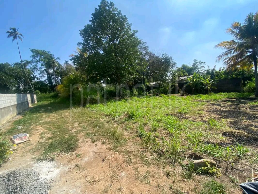 Residential Land for Sale in Yakkala