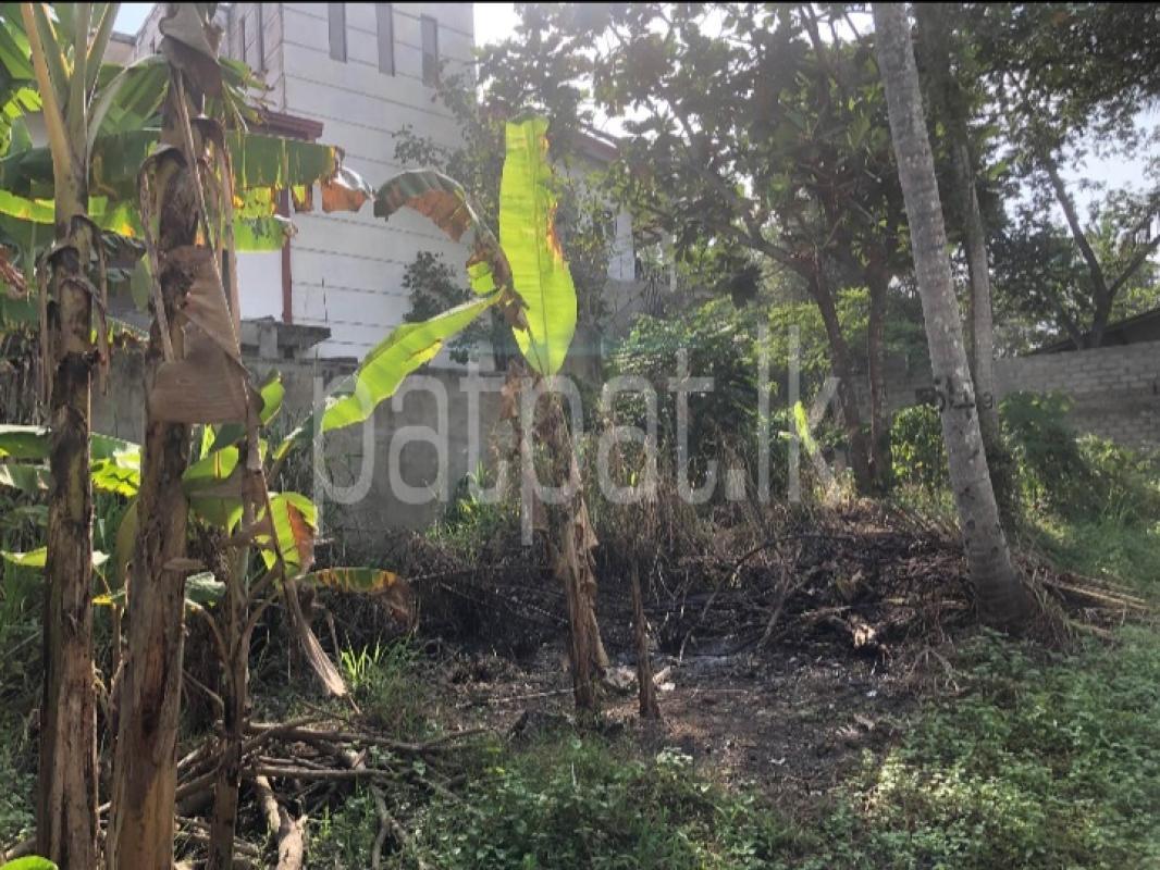 Commercial Land for Sale in Bandaragama