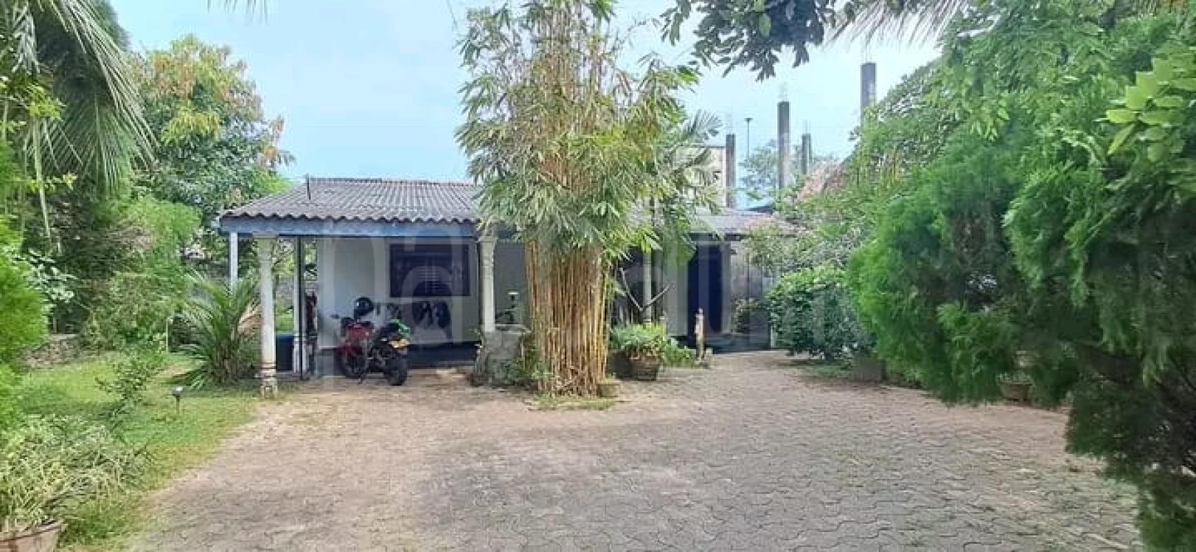 premium-listing-image