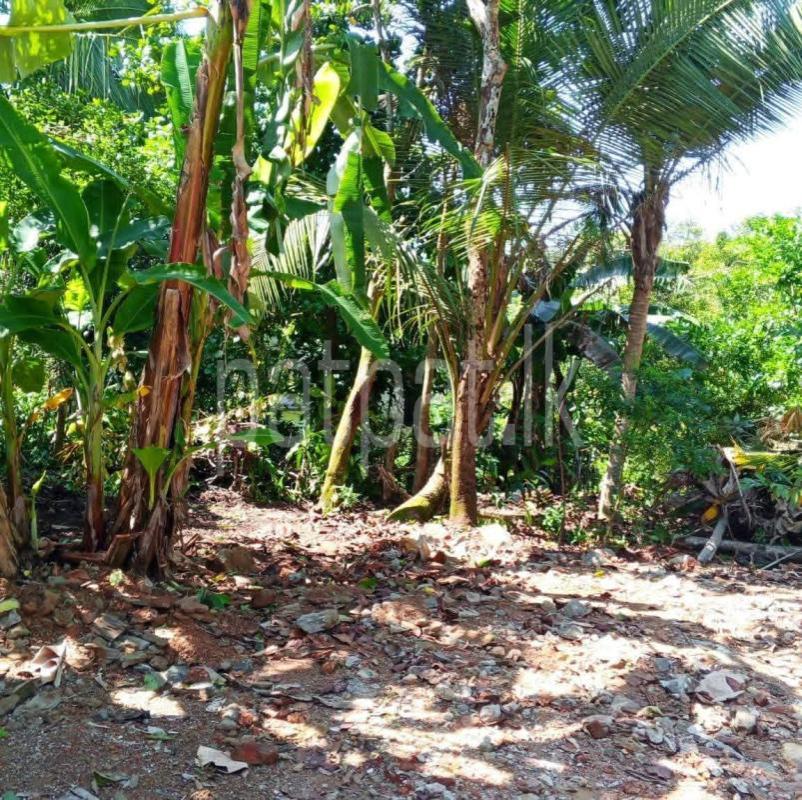 Residential Land for Sale in Panadura