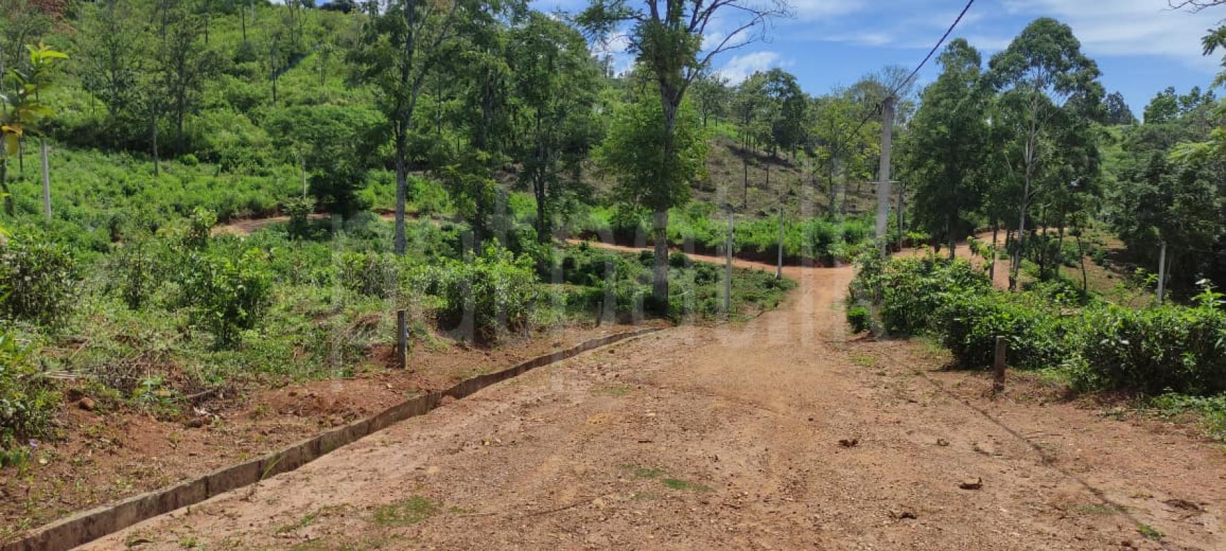 Residential Land for Sale in Welimada