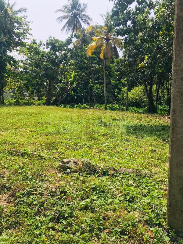 Commercial Land for Sale in Karapitiya