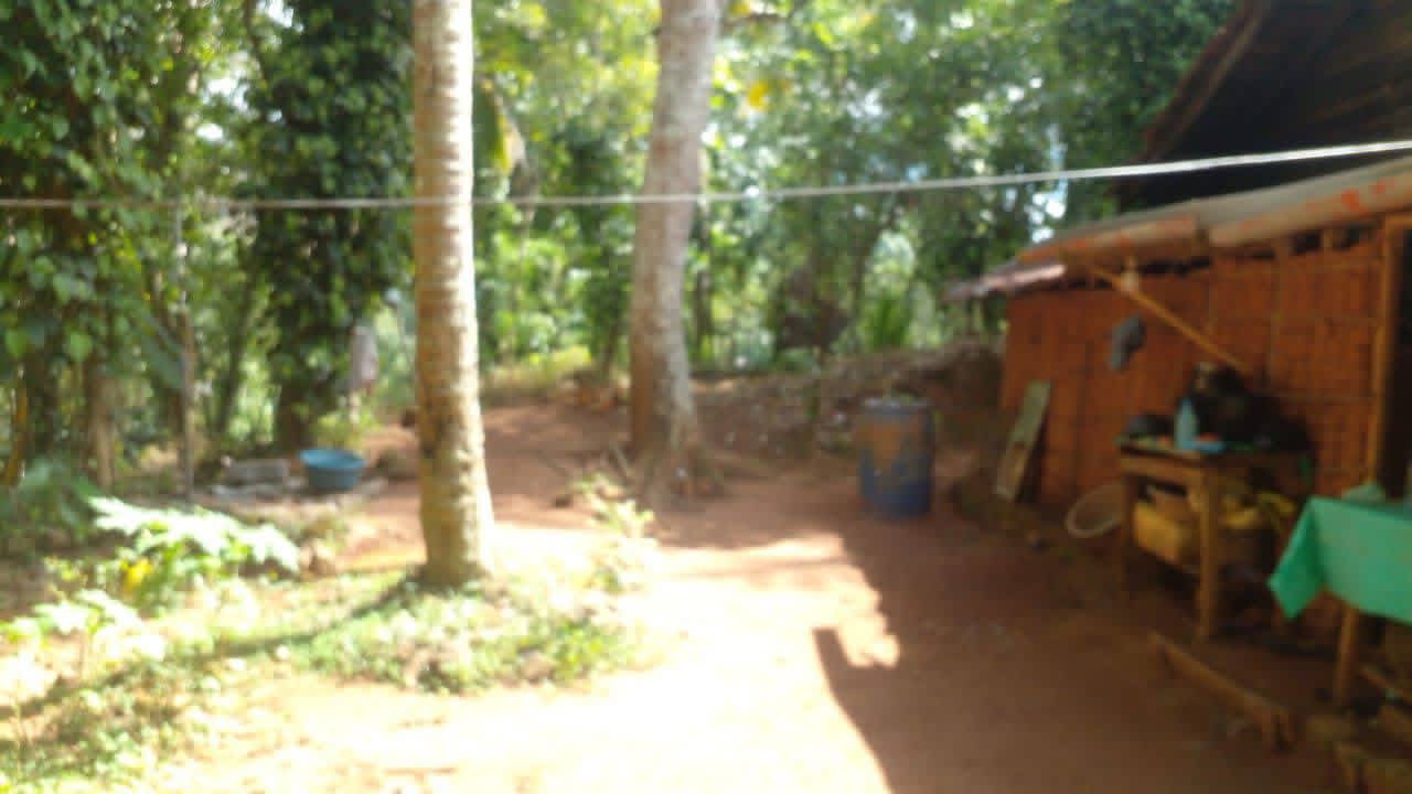 Residential Land for Sale in Balangoda