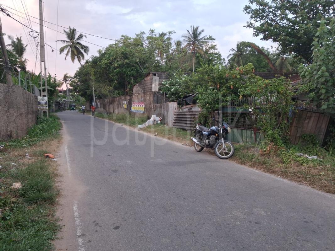 Residential Land for Sale in Wattala ads-image-1