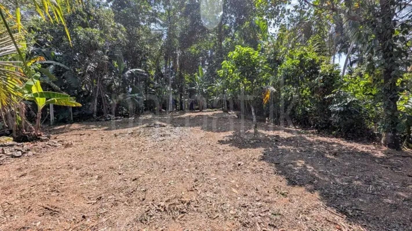 Commercial Land for Sale in Kirindiwela