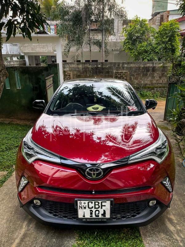 Advertisement image 1