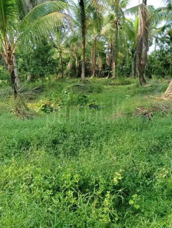 House for Sale in Kotadeniyawa