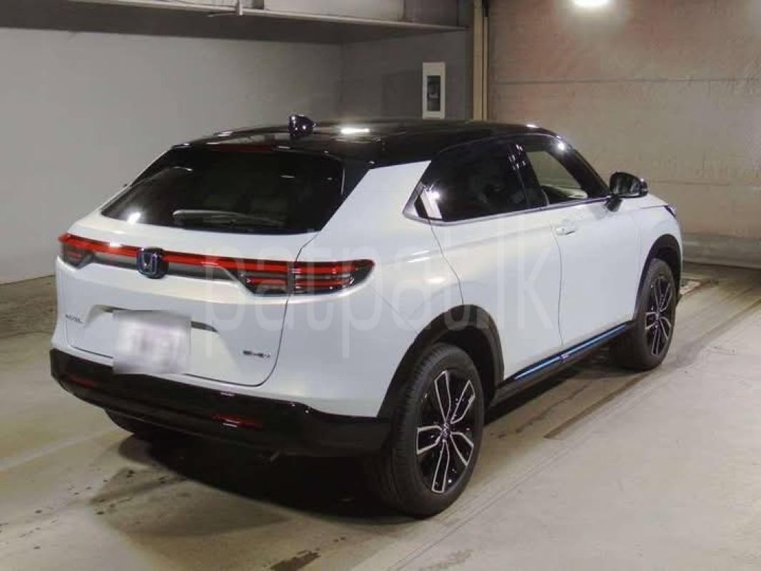 Advertisement image 2