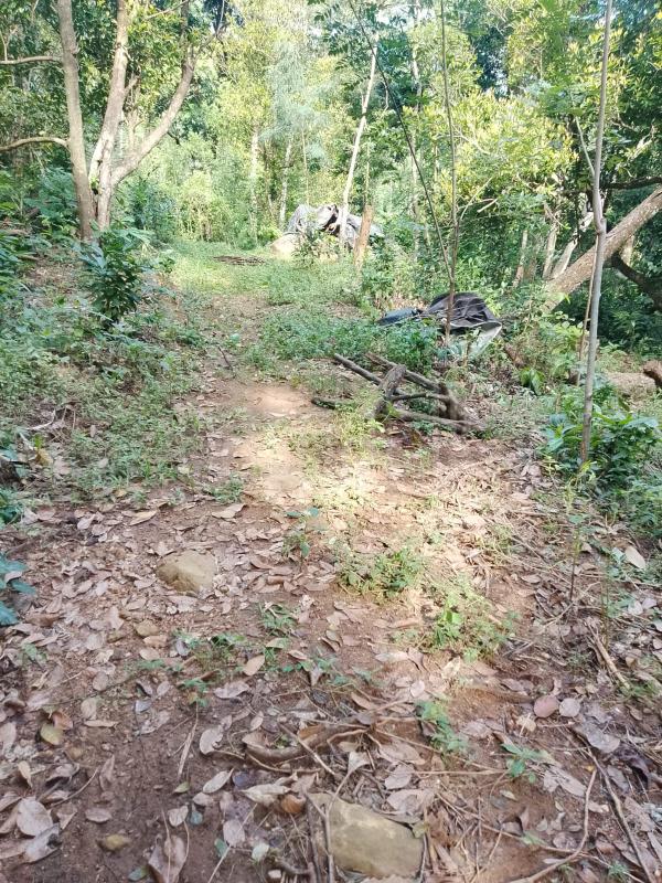 Residential Land for Sale in Kandy