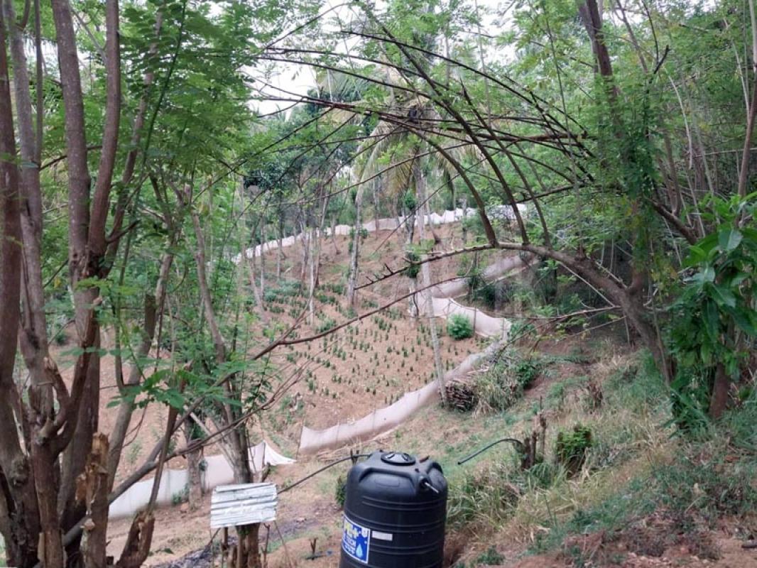 Agricultural Land for Sale in Kandy