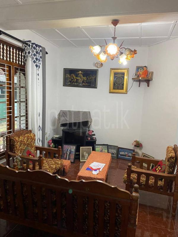 premium-listing-image