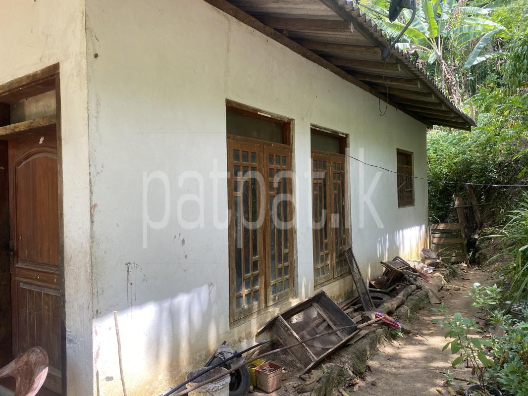 House for Sale in Hakmana ads-image-1