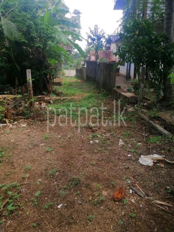 Residential Land for Sale in Ridigama