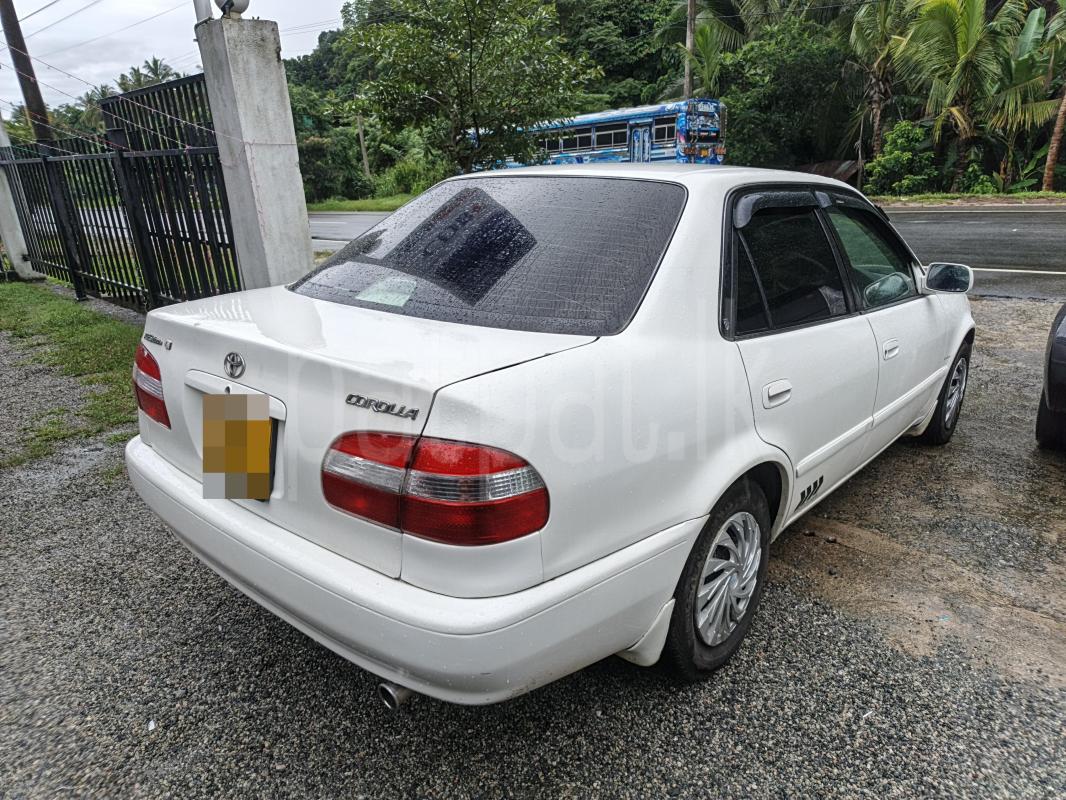 Toyota Corolla 1999 - பயன்படுத்தப்பட்டது கார் sale in Sri Lanka - patpat.lk