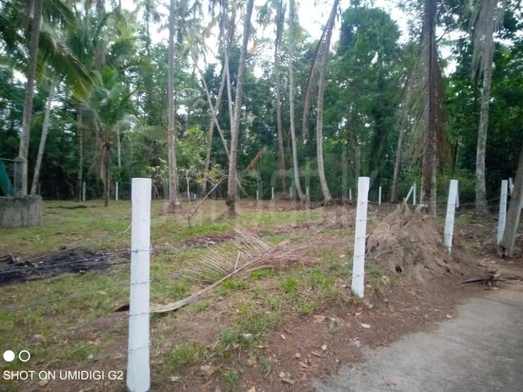 premium-listing-image