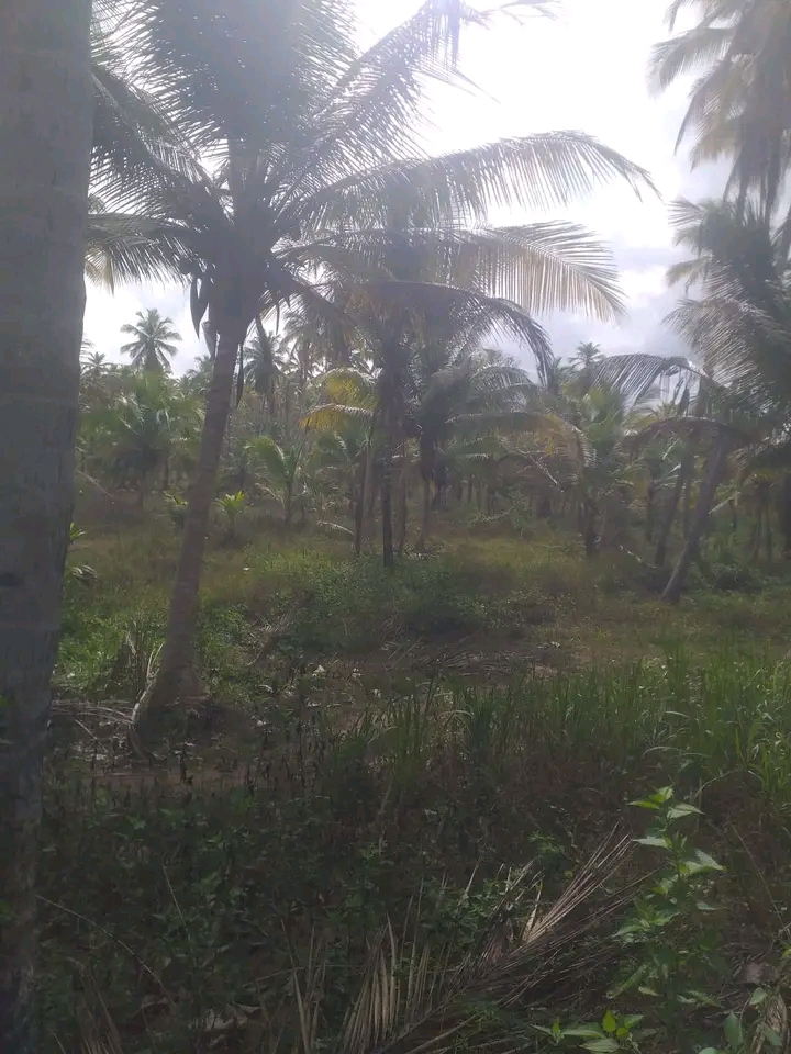 Commercial Land for Sale in Hambantota