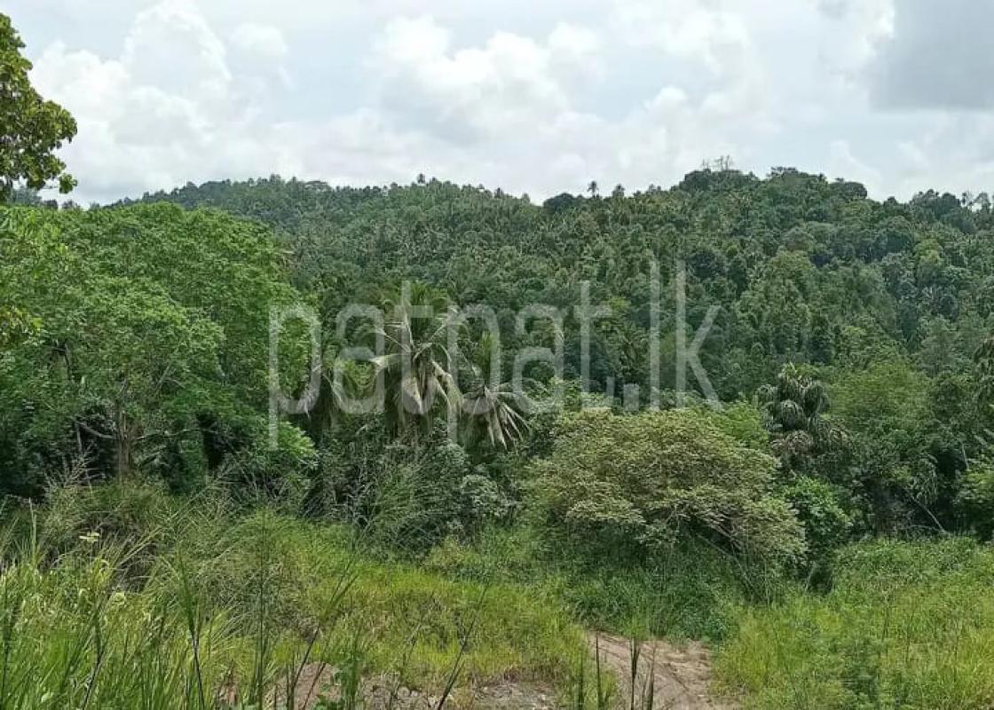 premium-listing-image