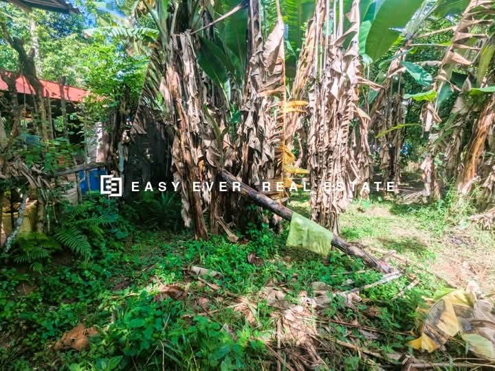 Commercial Land for Sale in Kumbaloluwa