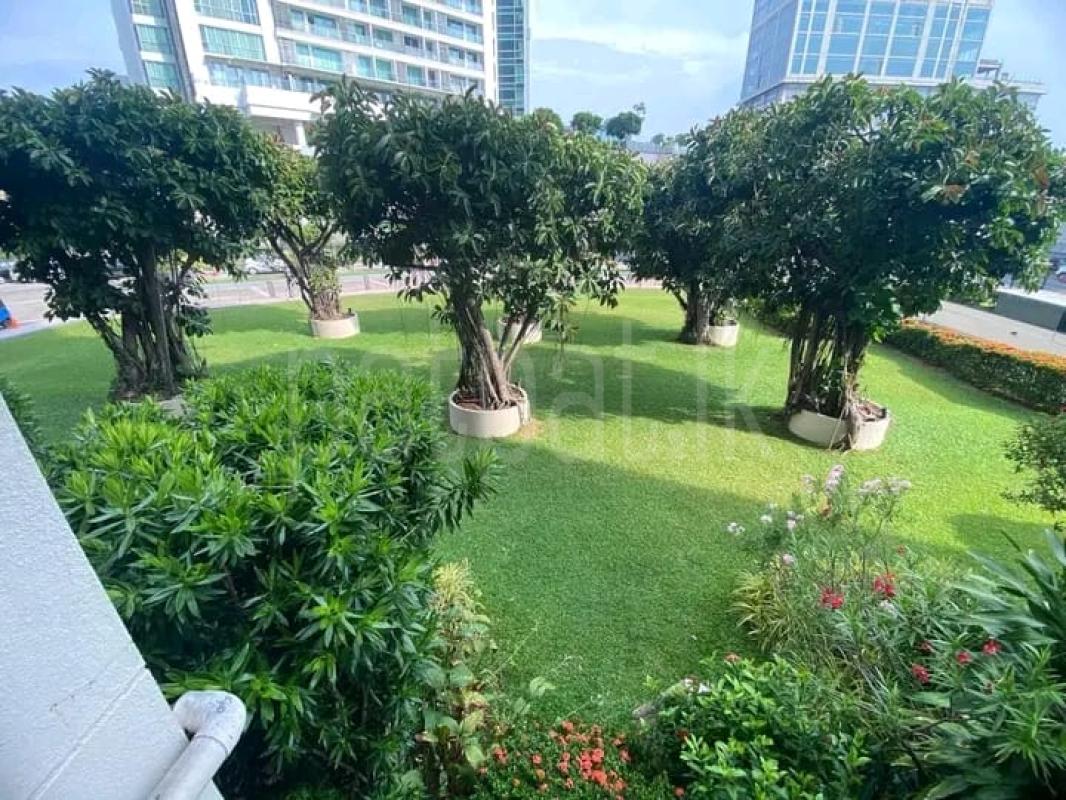 premium-listing-image