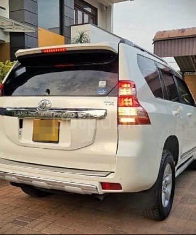 Advertisement image 2